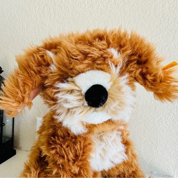 Curlie Cockapoo Puppy - Picture 7 of 7